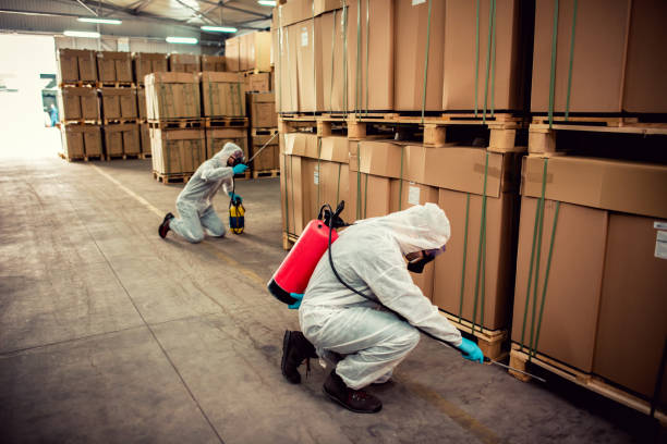 Best Local Pest Control Services  in Athens, IL