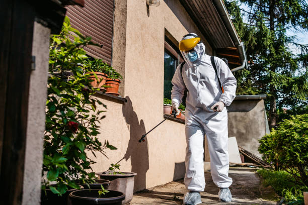 Best Pest Prevention Services  in Athens, IL
