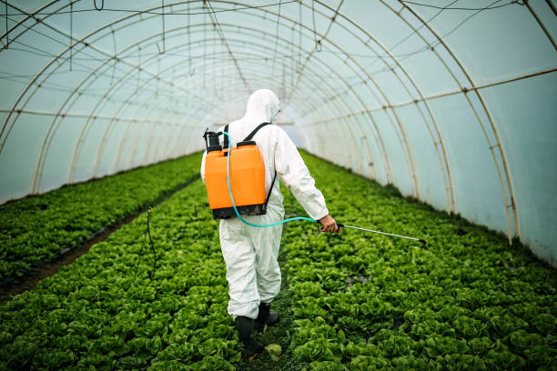 Best Pest Inspection Near Me  in Athens, IL