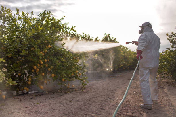 Best Bed Bug Extermination  in Athens, IL