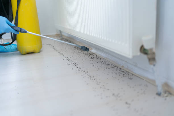 Best Local Pest Control Services  in Athens, IL