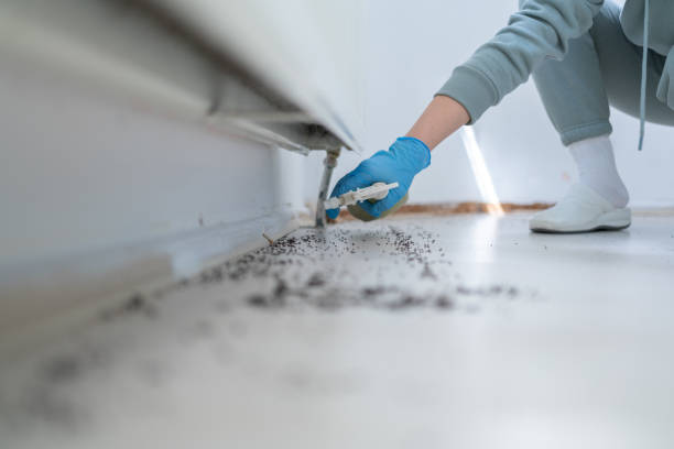 Best Bed Bug Extermination  in Athens, IL